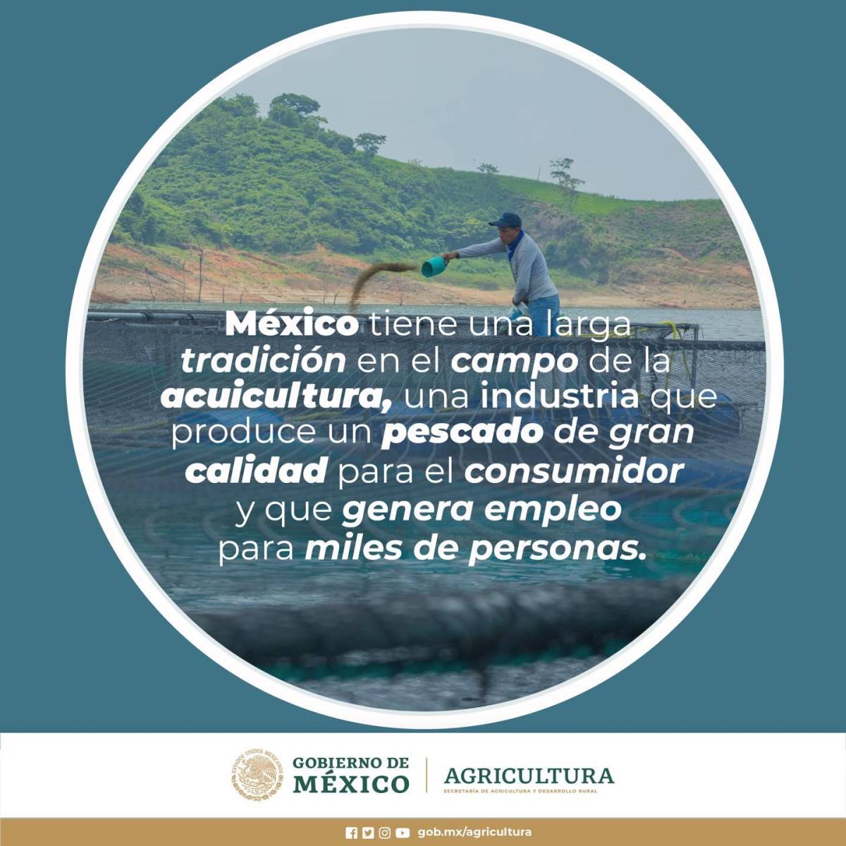 Acuacultura Una Transici N Entre La Pesca Y La Agricultura