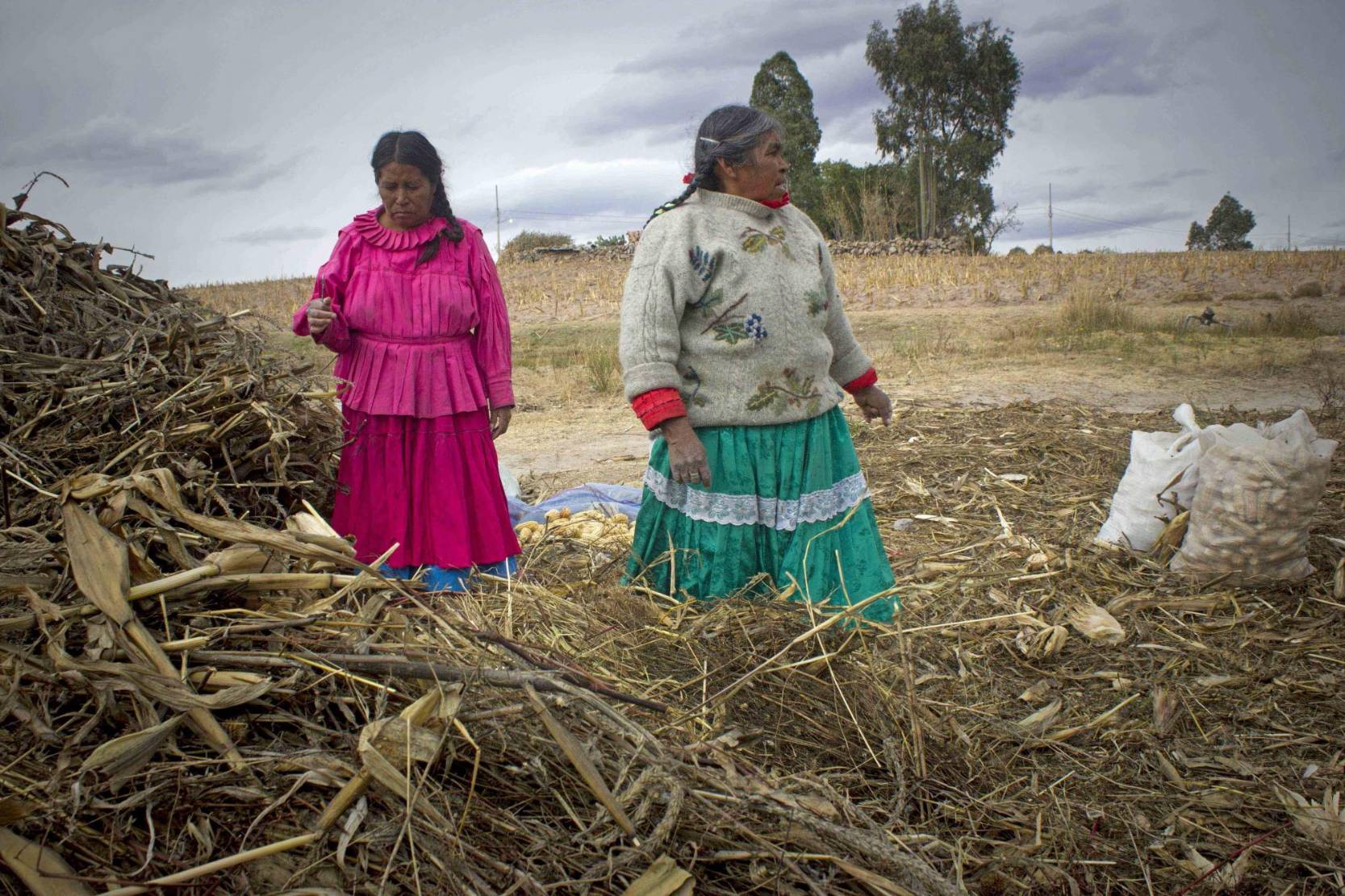 Los municipios más marginados son indígenas Ahí casi el 100 son pobres