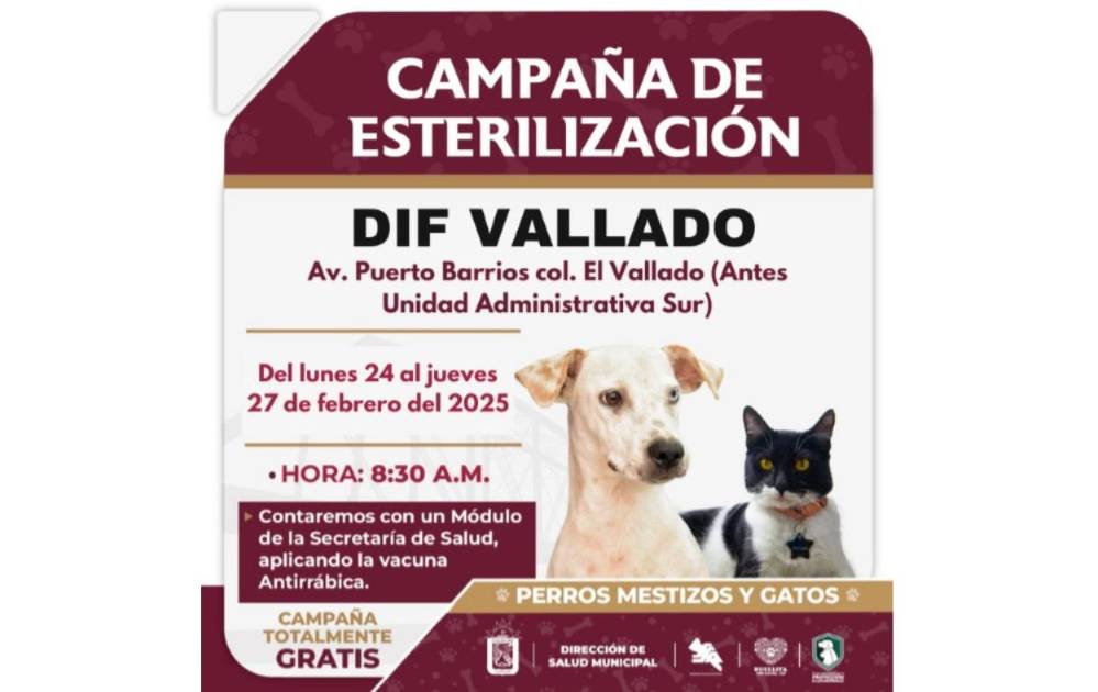 Habr Campa A Gratuita De Esterilizaci N Para Perros Y Gatos En Dif