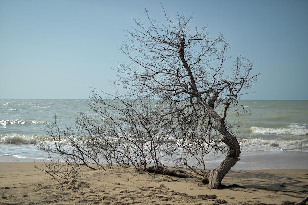 $!El aumento del nivel del mar viene asociado con una mayor temperatura y acidez del agua, y una mayor intensidad de las marejadas.