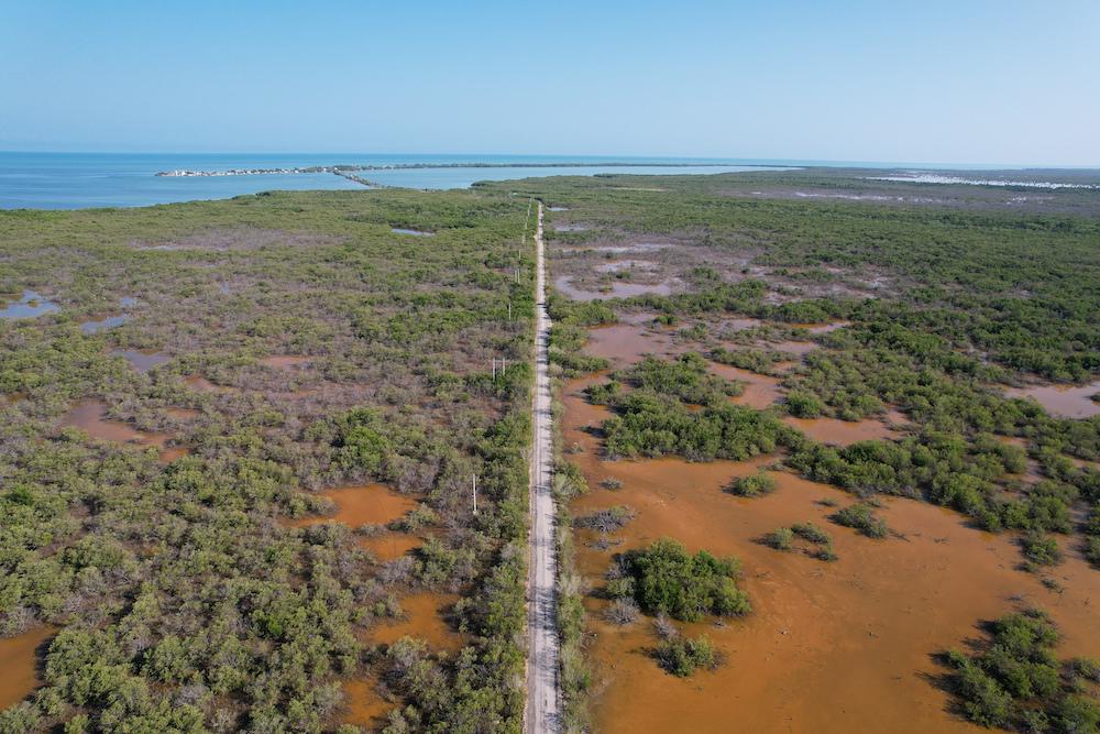 $!Vista área de la carretera. Al lado derecho se logra apreciar el área del proyecto de restauración de manglar.