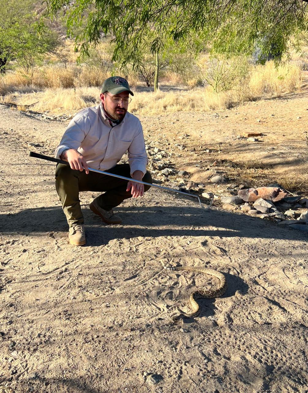 $!El biólogo Jorge Jiménez Canale con una serpiente de cascabel. Estas especies presentan un gran camuflaje con su ambiente, por lo que se ha reportado un gran número de mordeduras a personas que llegan a pisarlas al no darse cuenta de que se encuentran ahí.