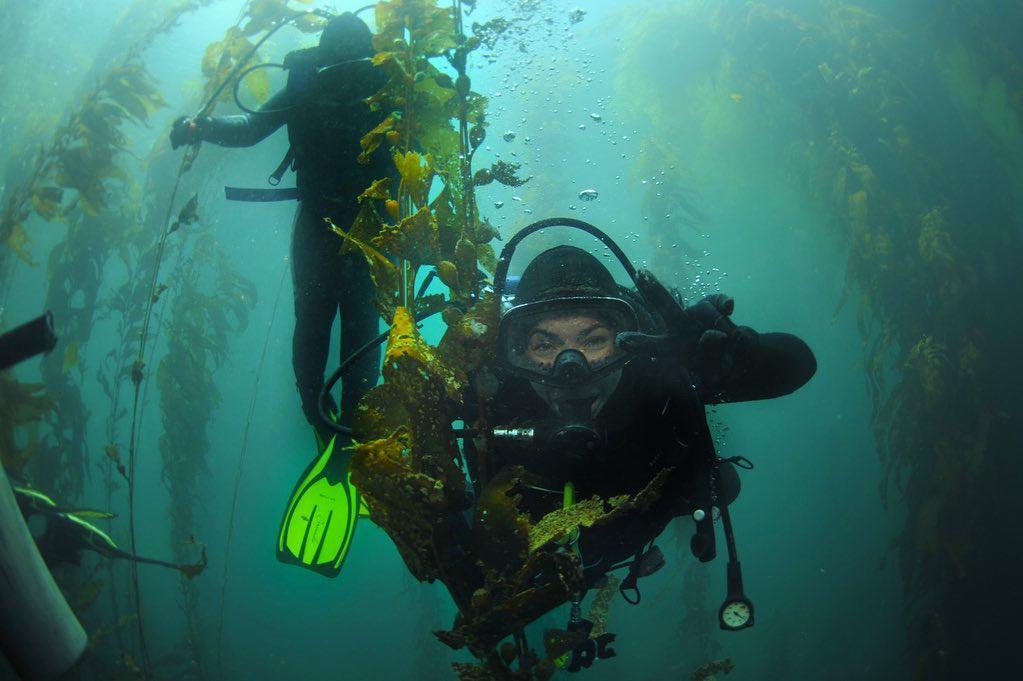 $!Elsa Cuellar, una de las Sirenas de Natividad durante una inmersión.