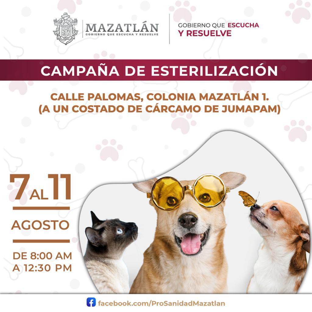 $!Llevarán esterilización gratuita de mascotas a la colonia Mazatlán I