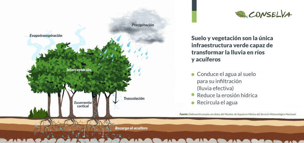 $!Escasez de agua: ¿Por qué las cuencas son la respuesta ante la crisis en Sinaloa?