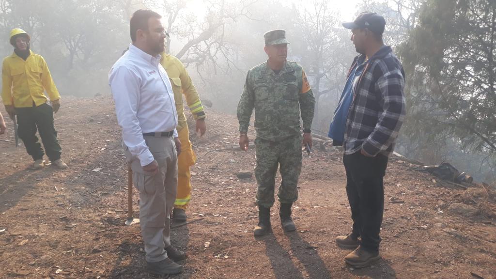 $!Arrasa incendio con más de 100 hectáreas de pino en la sierra de Concordia