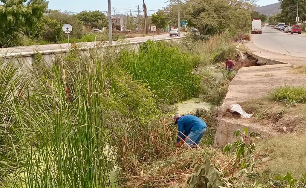 $!Continúa en Mazatlán limpieza de canales previo a temporada de lluvias