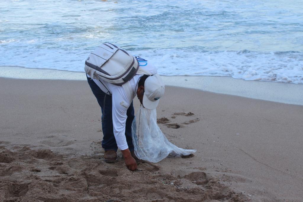 $!Limpian la playa de Olas Altas; retiran poco más de 60 kilos de basura