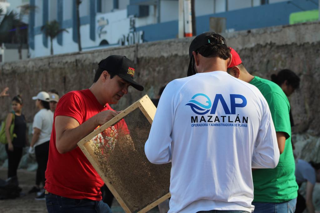 $!Limpian la playa de Olas Altas; retiran poco más de 60 kilos de basura