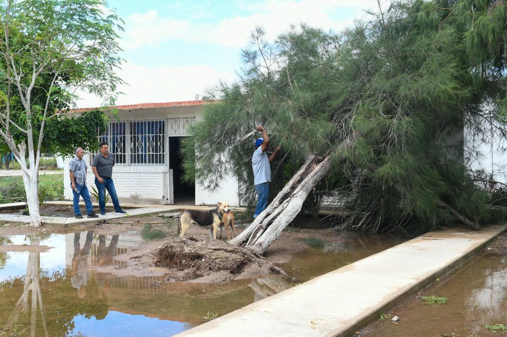 $!Pide SEPyC documentar con video y foto daños a la infraestructura educativa por ‘Norma’