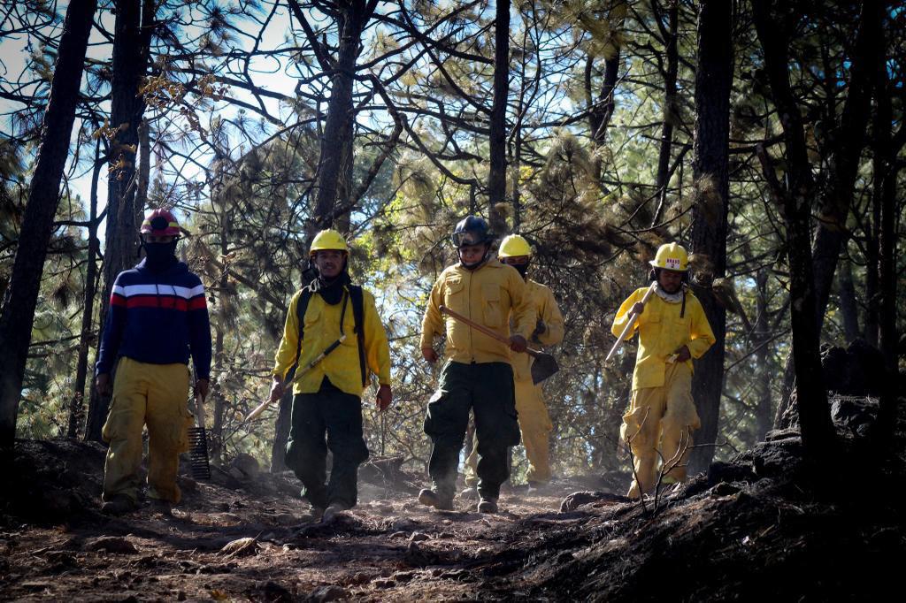 $!Reportan que hay aún focos pequeños del incendio en la sierra de Concordia