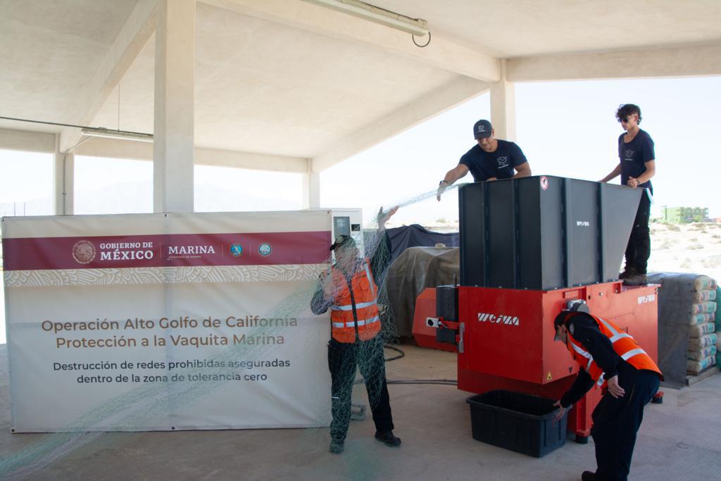 $!Inicia ampliación de ‘sembrado de bloques de concreto’ para proteger el santuario de la vaquita marina