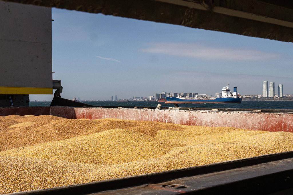 $!Equipos de inspección conjuntos trabajaron en el marco de la Iniciativa de Cereales del Mar Negro.