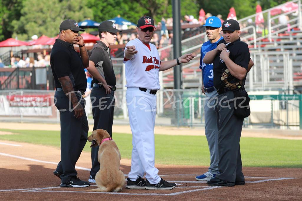 $!Jordan Sandberg: un camaleón del beisbol en Mazatlán