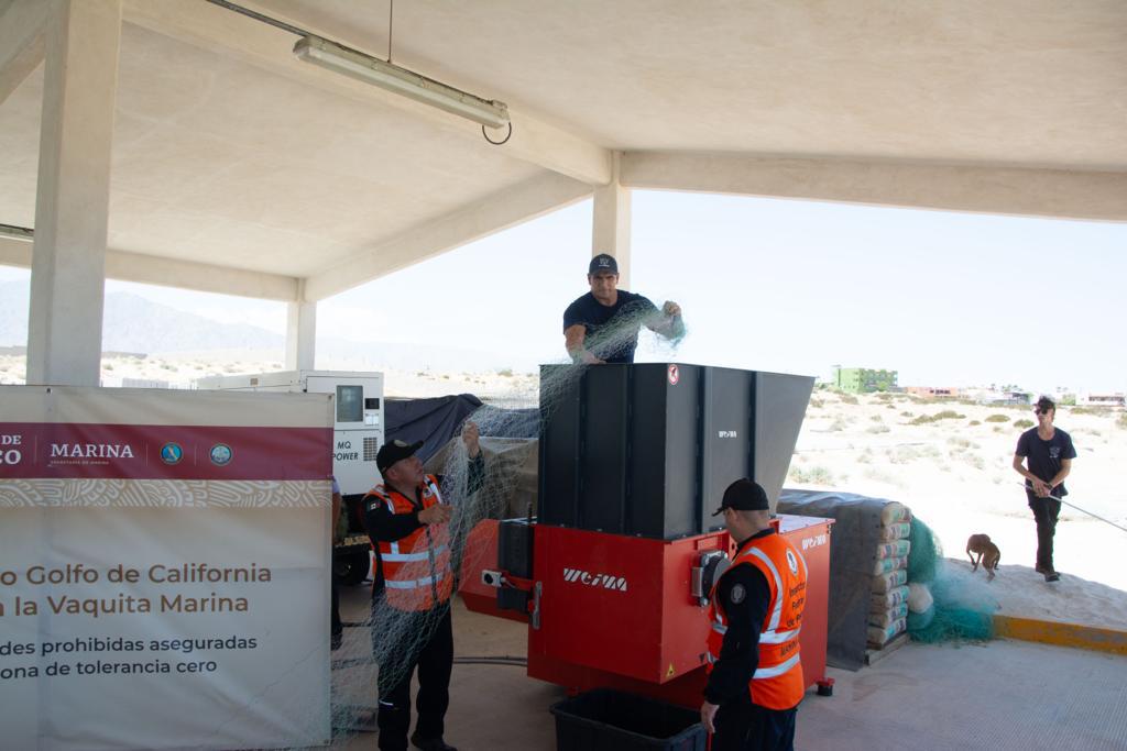 $!Inicia ampliación de ‘sembrado de bloques de concreto’ para proteger el santuario de la vaquita marina