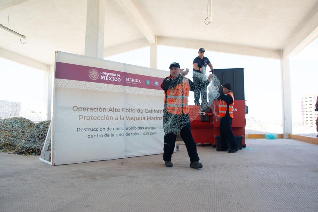 $!Inicia ampliación de ‘sembrado de bloques de concreto’ para proteger el santuario de la vaquita marina