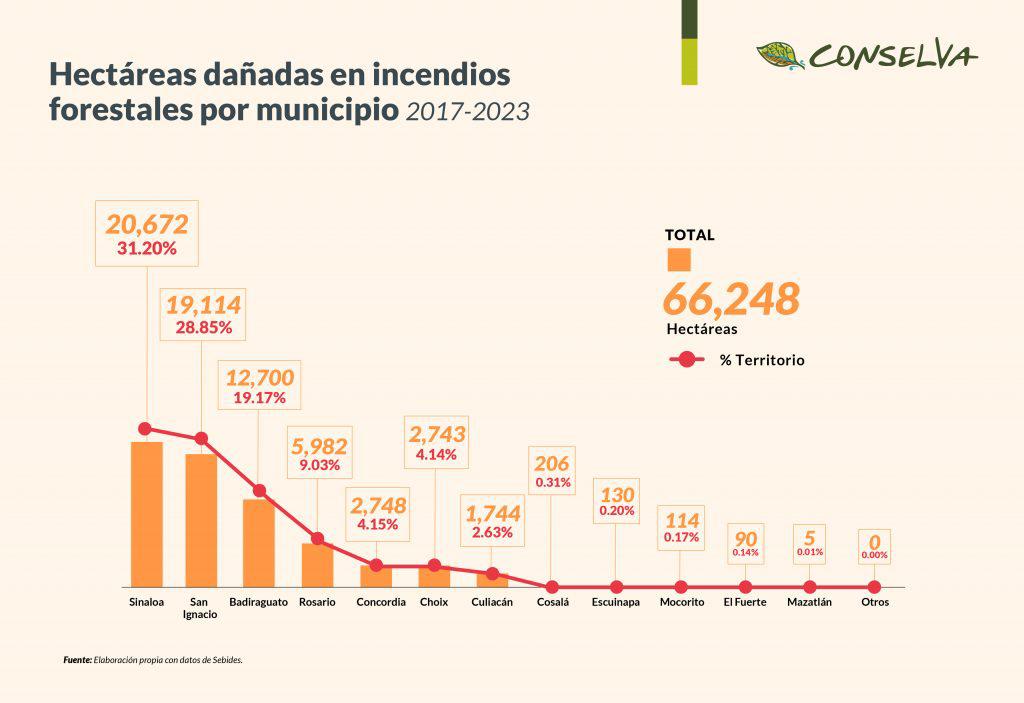 $!Día Mundial del Medio Ambiente: Urge detener la deforestación para mitigar la sequía