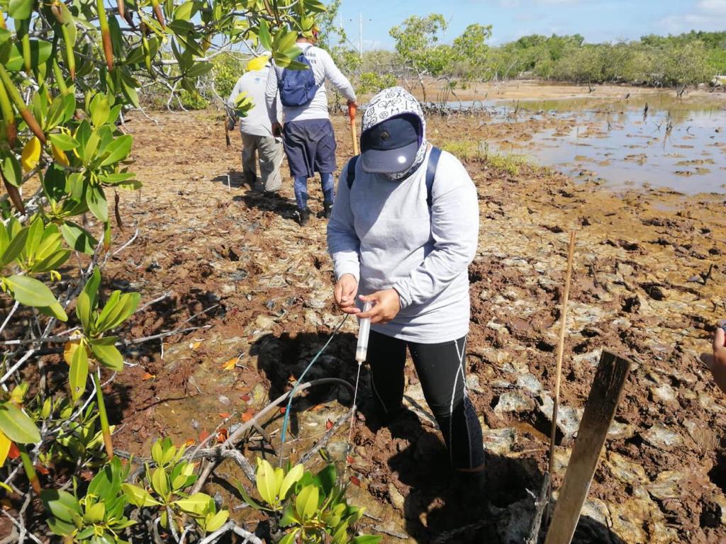 $!Grupo de restauradores realizando actividades de ecología forense.