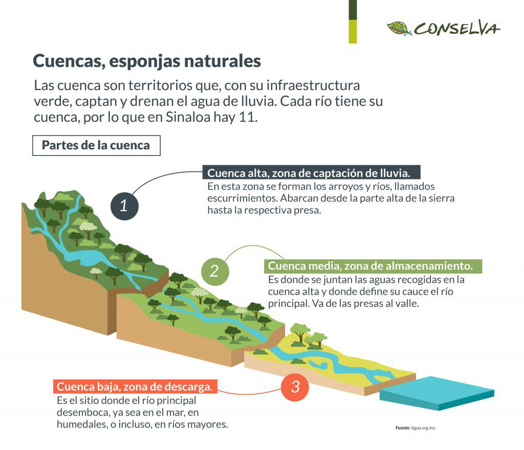 $!Día Mundial del Medio Ambiente: Urge detener la deforestación para mitigar la sequía