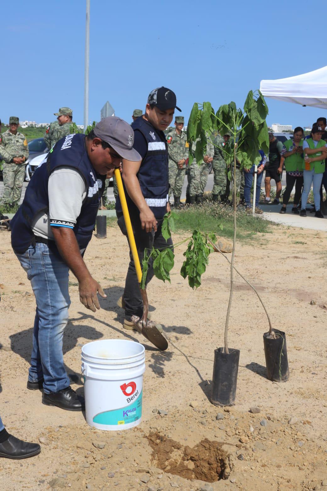 $!Realizan Jornada de arborización masiva en la Avenida Delfín, en Mazatlán