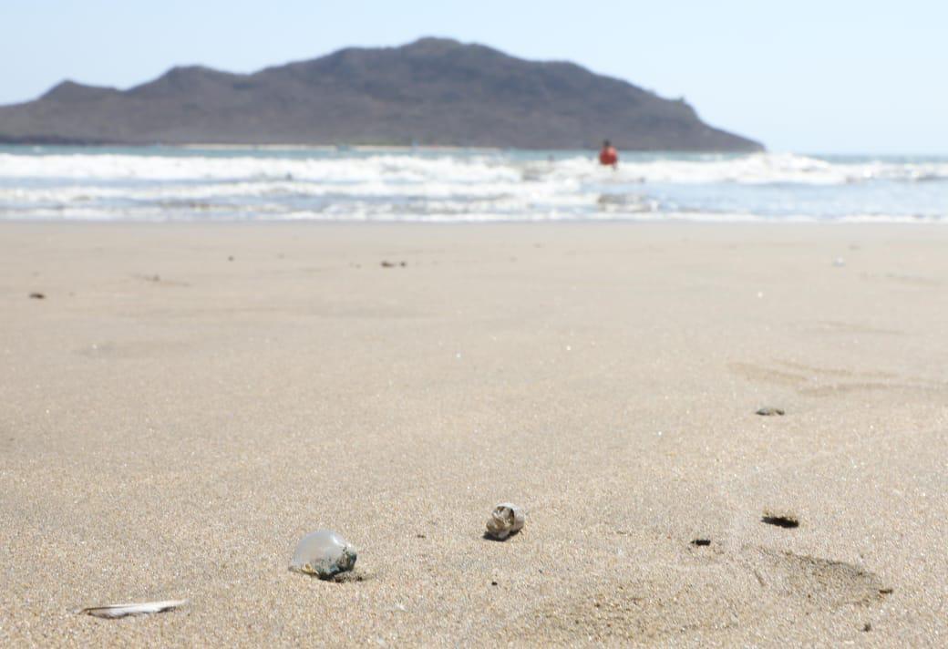 $!Atienden a 4 bañistas por contacto con quemadores; continúa el mar de fondo en playas de Mazatlán