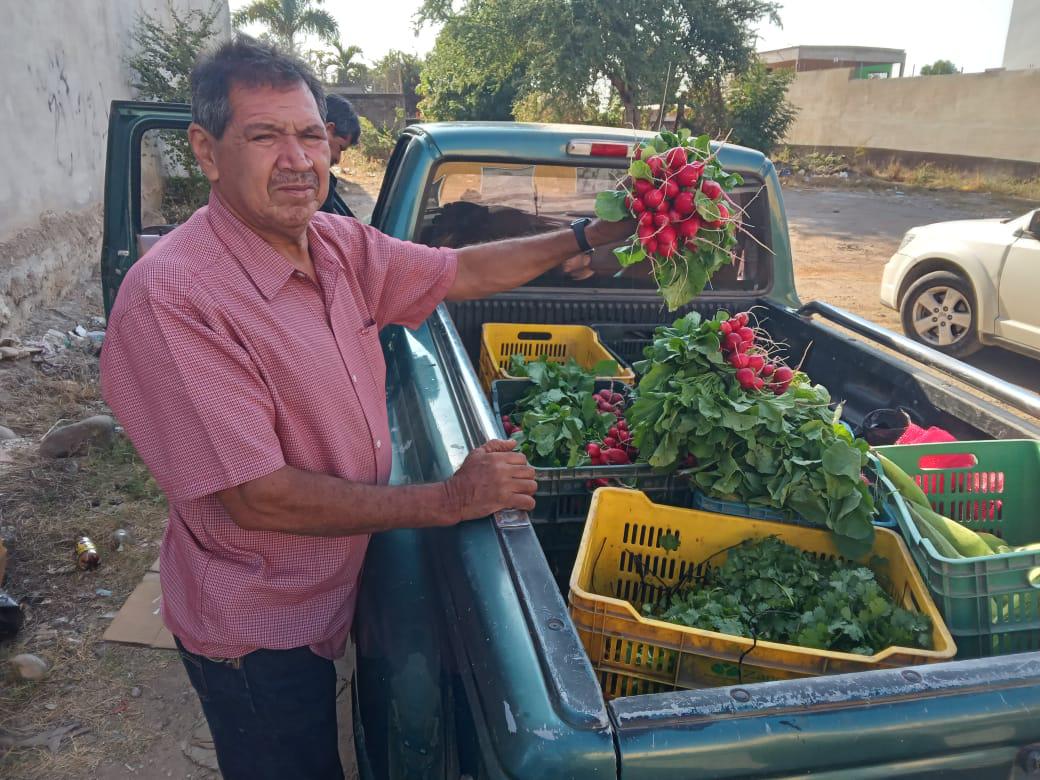 $!Llegaron los elotes de Don Tolo a Rosario, también el cilantro y los rabanitos