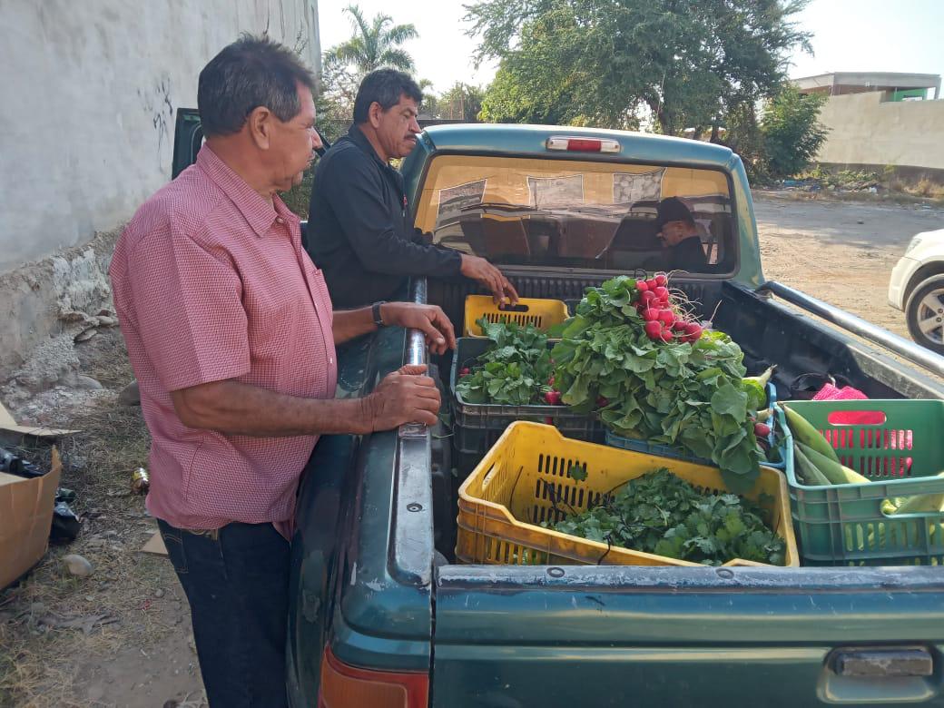 $!Llegaron los elotes de Don Tolo a Rosario, también el cilantro y los rabanitos