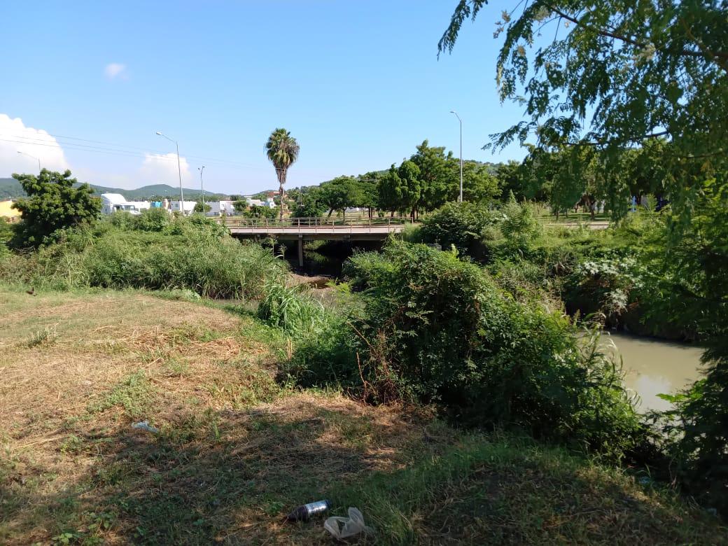 $!La maleza por todos lados en el arroyo Jabalines.