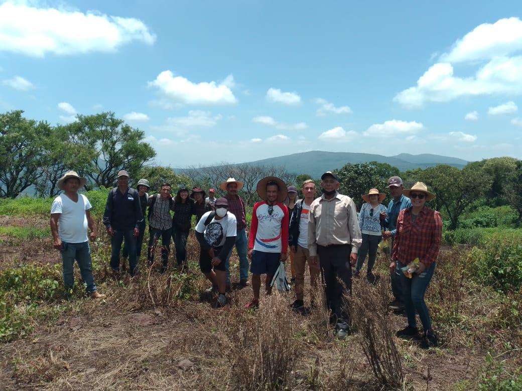 $!México: como un roble, así es la convicción de los guardianes del bosque de Juanacatlán