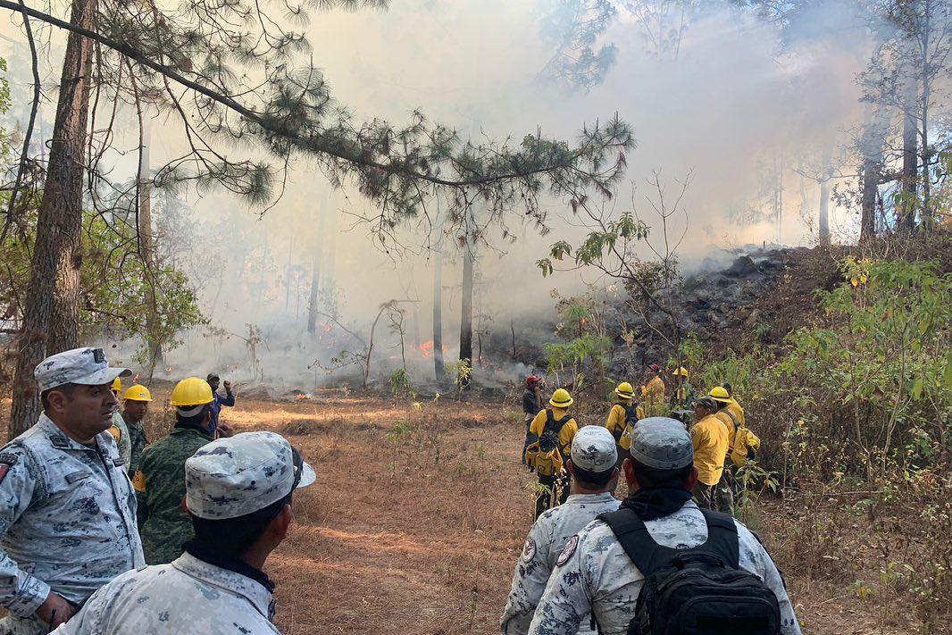 $!Arrasa incendio con más de 100 hectáreas en la sierra de Concordia