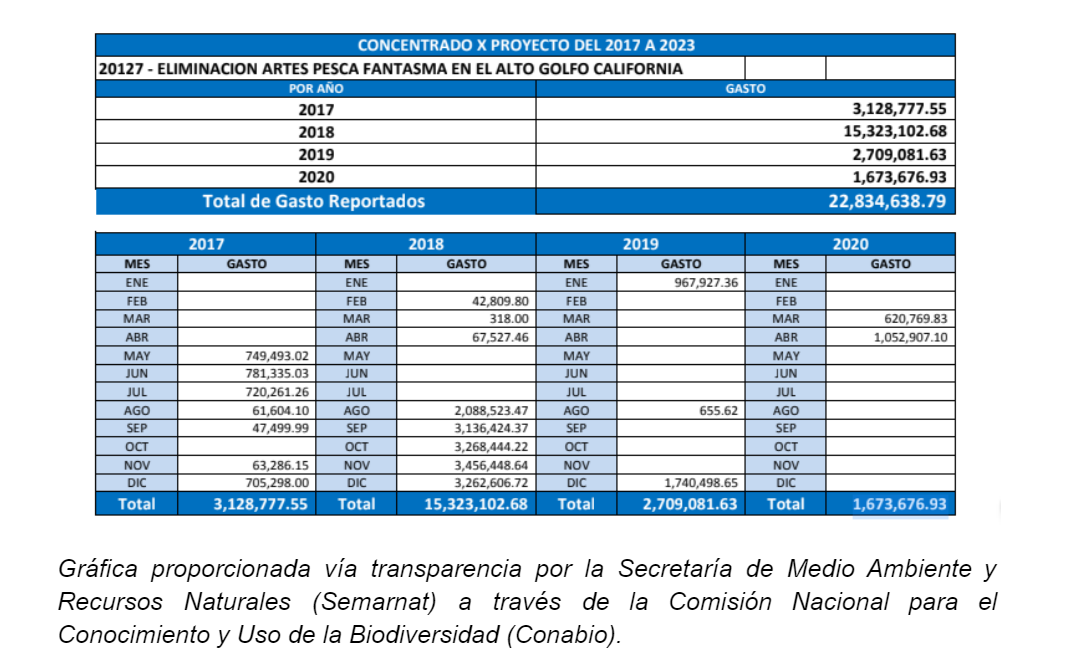 $!Gobierno de AMLO abandonó desde 2021 proyecto esencial para conservación de la vaquita marina