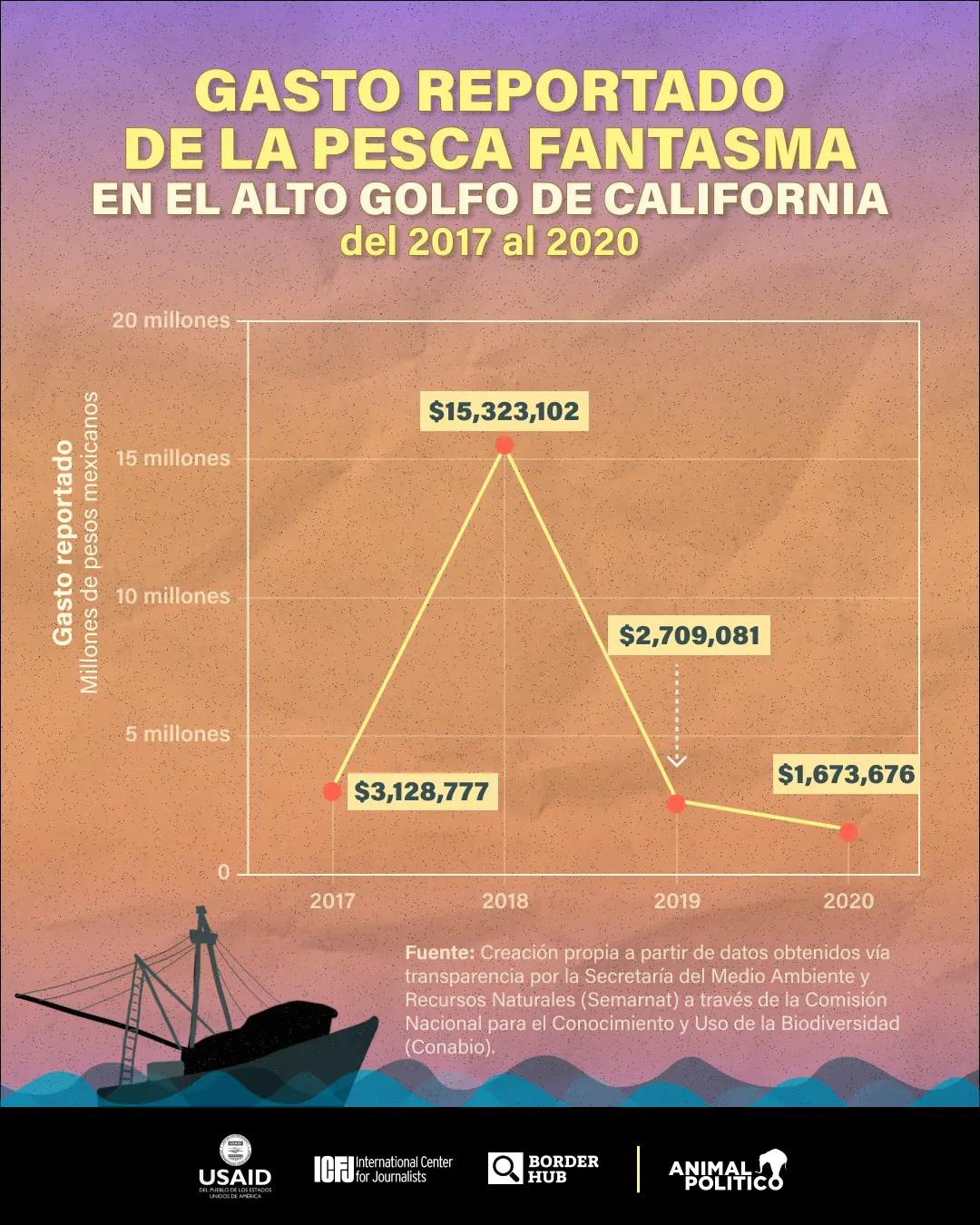 $!Gobierno de AMLO abandonó desde 2021 proyecto esencial para conservación de la vaquita marina