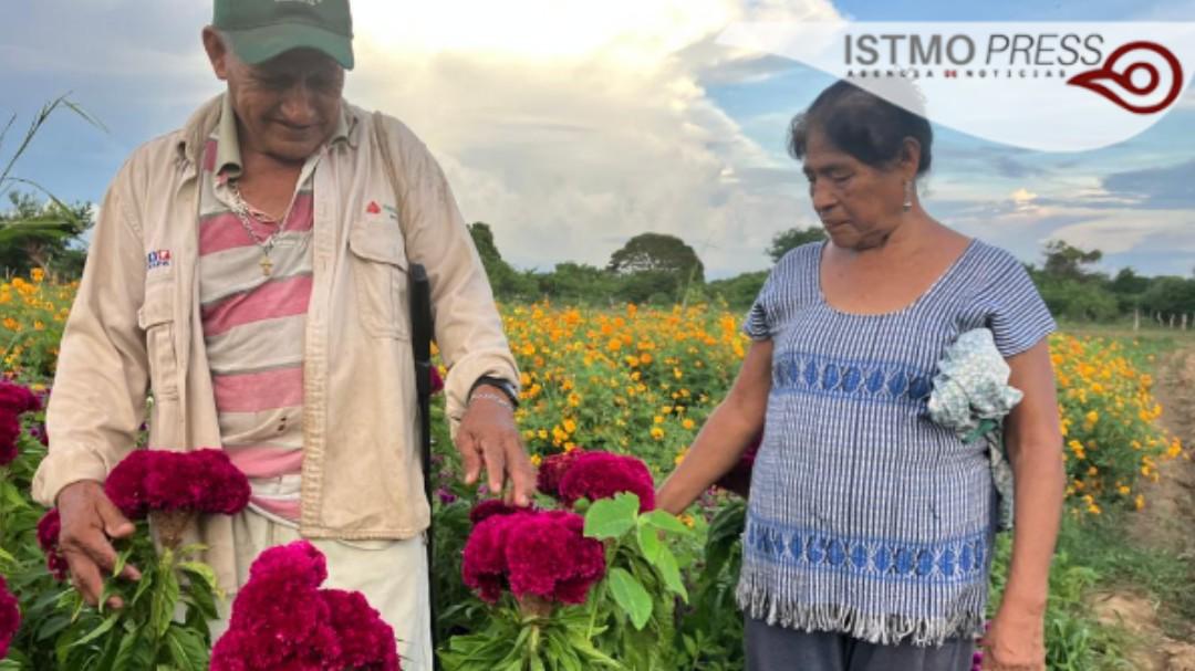 $!Siembran Victorina e Isaías por tradición aunque ya no llueva como antes