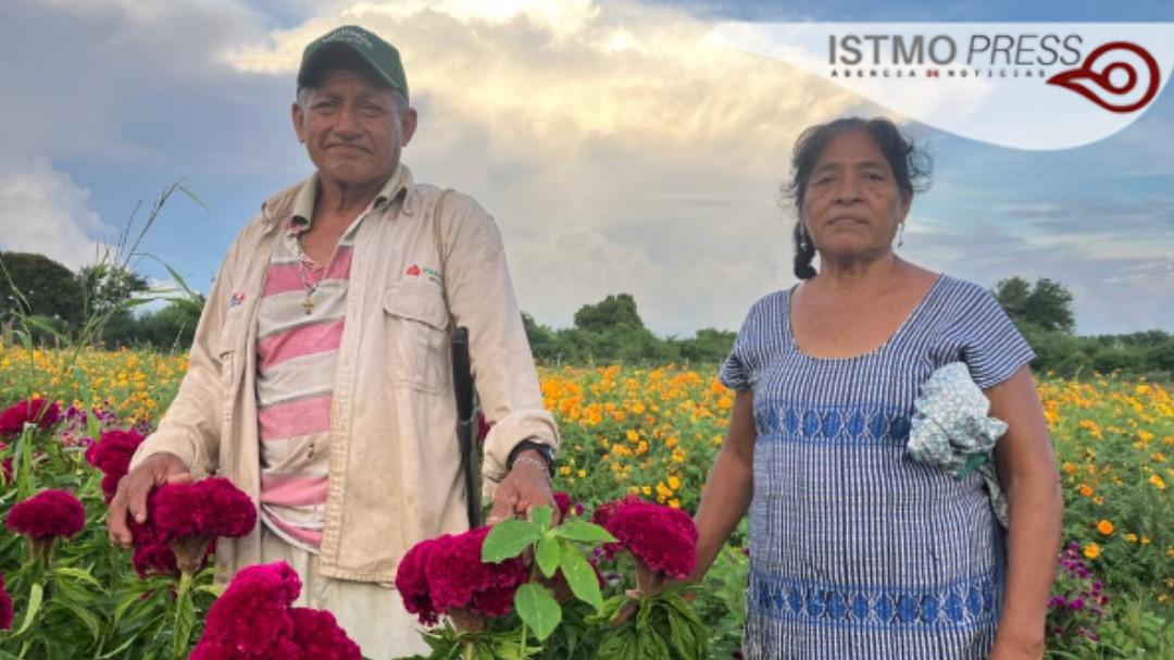 $!Siembran Victorina e Isaías por tradición aunque ya no llueva como antes