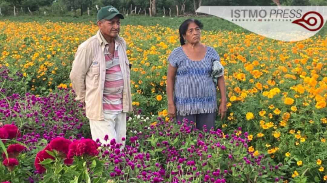 $!Siembran Victorina e Isaías por tradición aunque ya no llueva como antes