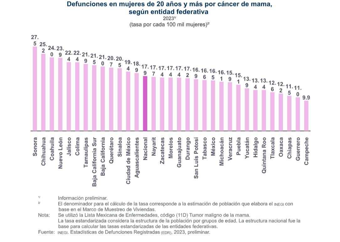 $!En 2023 hubo 8 mil 034 muertes por cáncer de mama en población de 20 años y más: Inegi