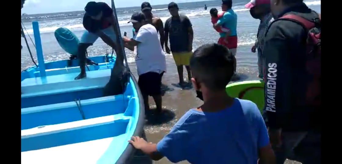 $!Rescatan frente a la Isla de la Piedra, en Mazatlán, a un venado que se encontraba en el mar