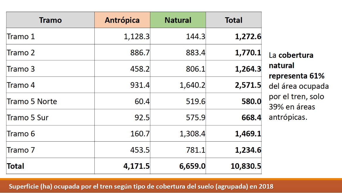 $!Superficie ocupada por el tren, según tipo de cobertura del suelo.