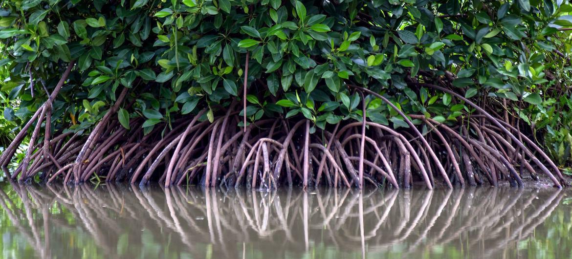 $!Advierte la UNESCO que el mar se calienta a una velocidad alarmante y constante