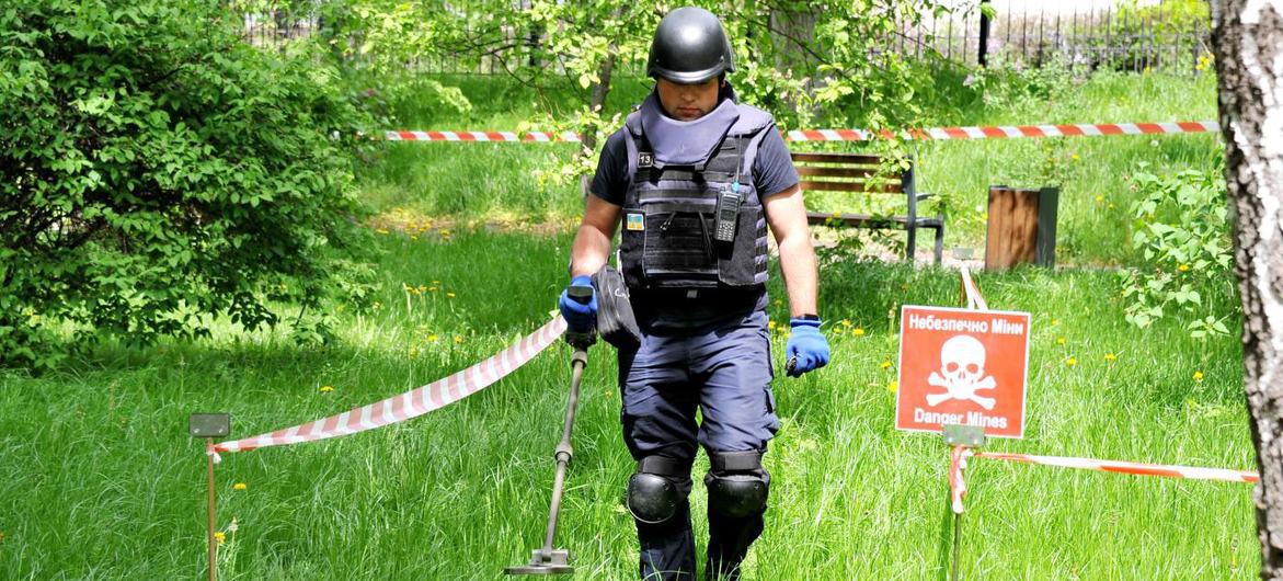 $!Un desminador del Servicio Estatal de Emergencias de Ucrania barre el terreno en busca de artefactos explosivos sin detonar y minas terrestres.