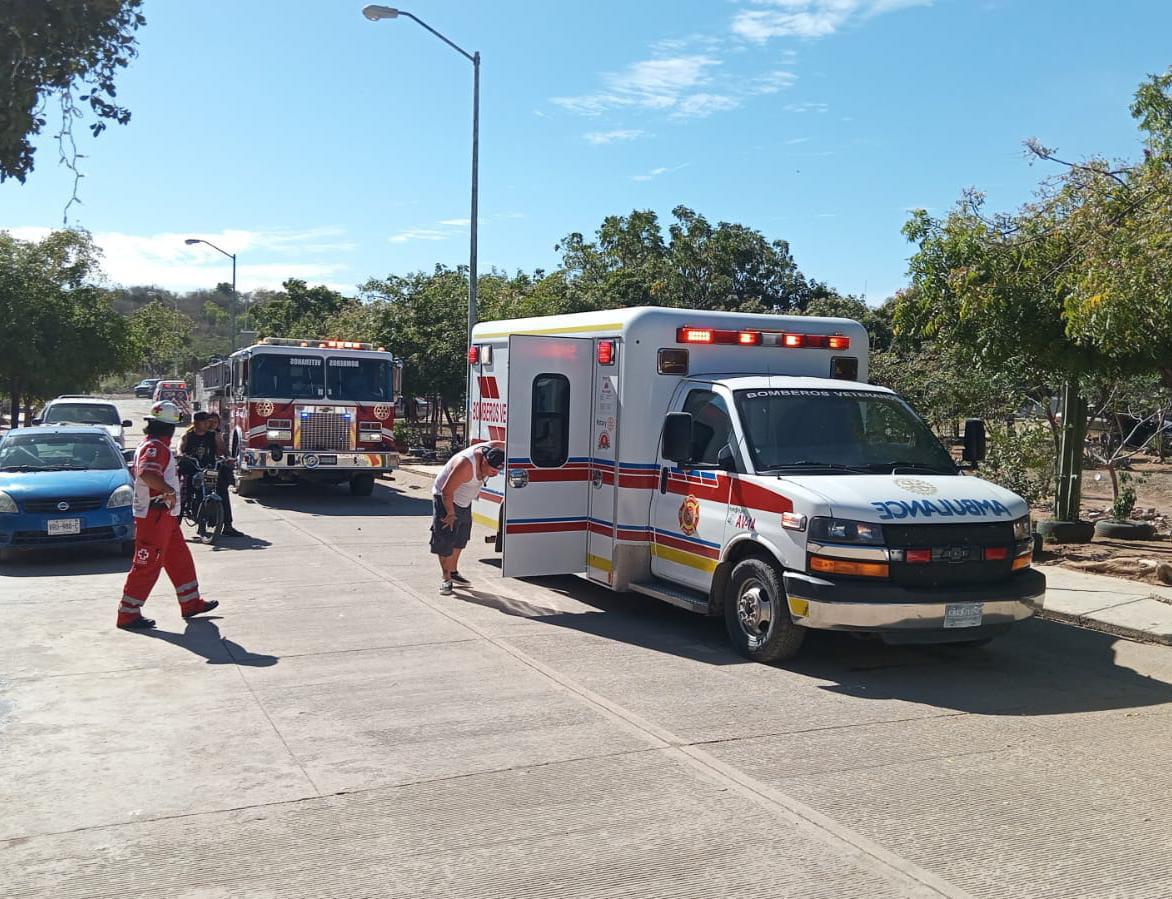 $!Enjambre de abejas ataca a familia en el panteón de Urías en Mazatlán