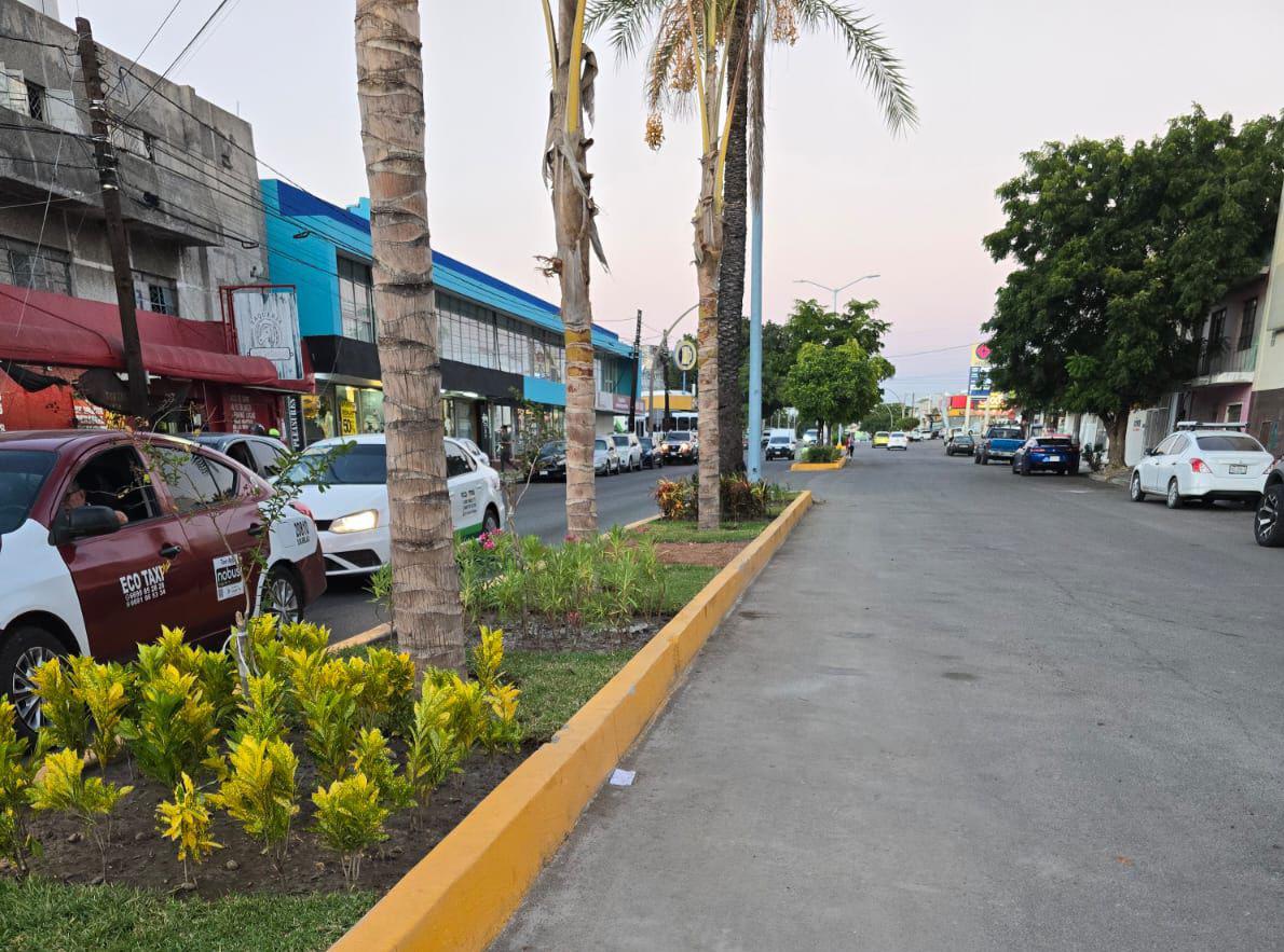 $!Embellecen la Avenida Juan Carrasco en Mazatlán