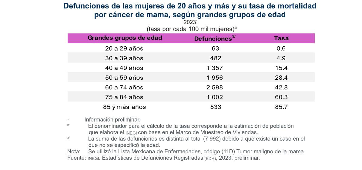 $!En 2023 hubo 8 mil 034 muertes por cáncer de mama en población de 20 años y más: Inegi