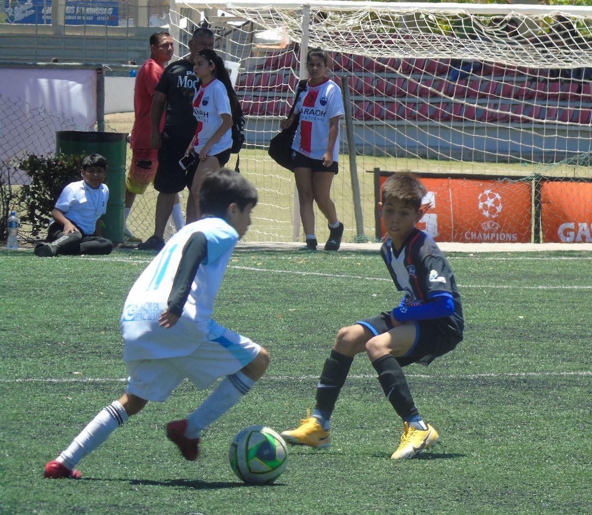 $!Cañoneros Sub 12 arrasan a sus rivales en Copa Mazatlán