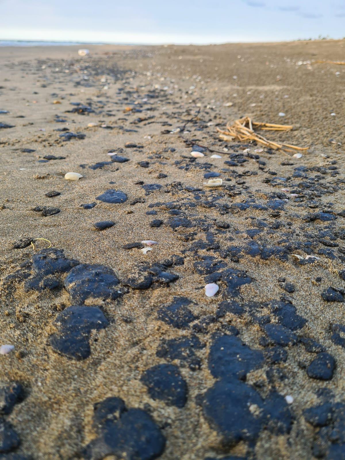 $!Derrame de petróleo en Campeche afecta playas de Veracruz y Tabasco