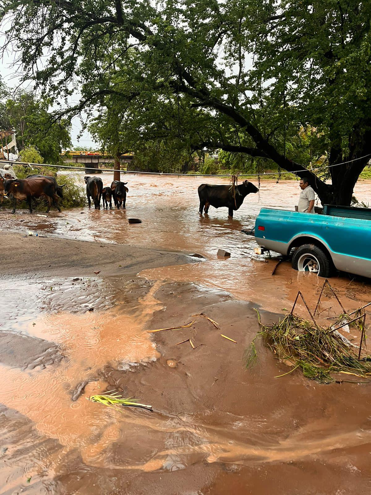 $!Lluvias dejan viviendas afectadas en Mocorito y Culiacán