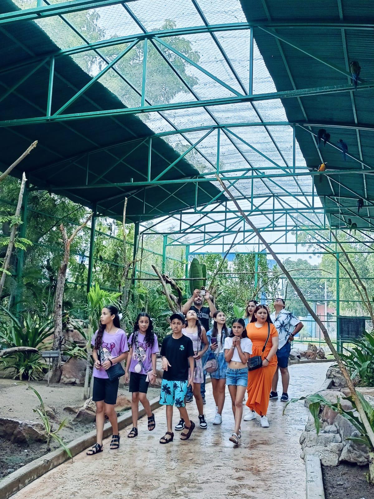 $!Niñas y niños de Huixiopa, Badiraguato, conocen por primera vez el mar, y sus especies en el Gran Acuario Mazatlán