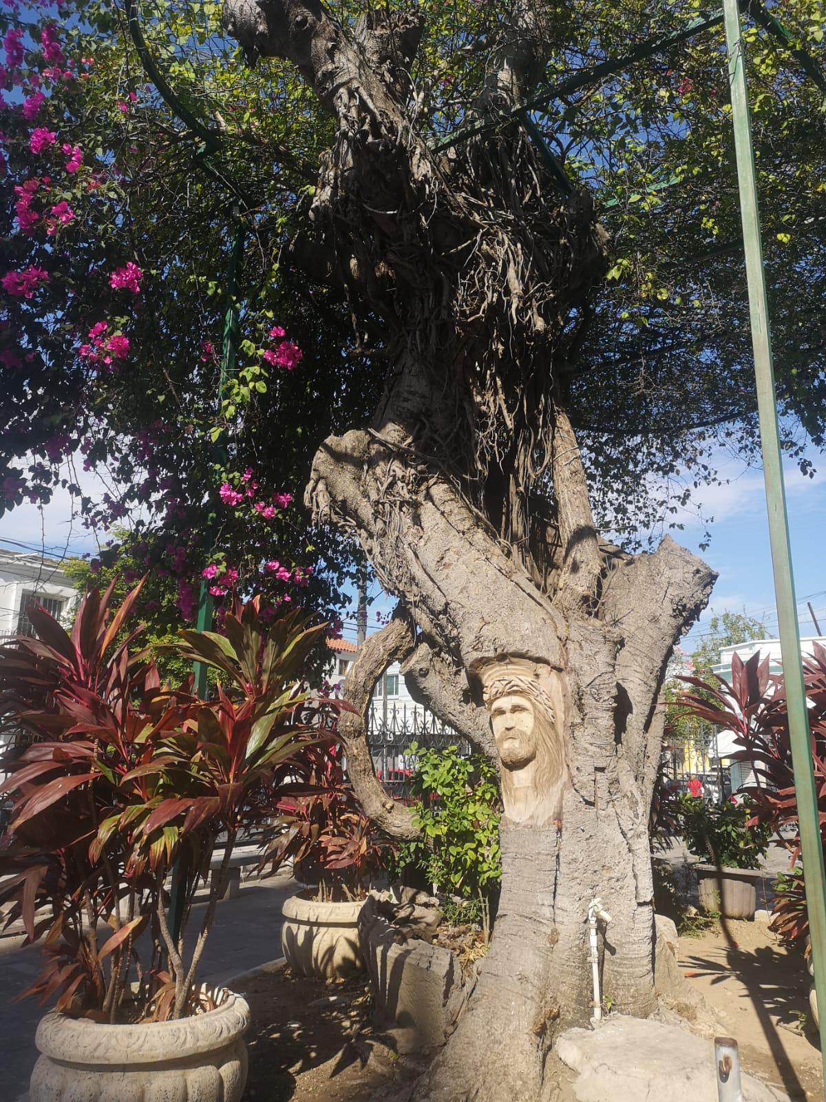 $!Talla imagen de Cristo en árbol de Catedral de Mazatlán y le da la vuelta al mundo