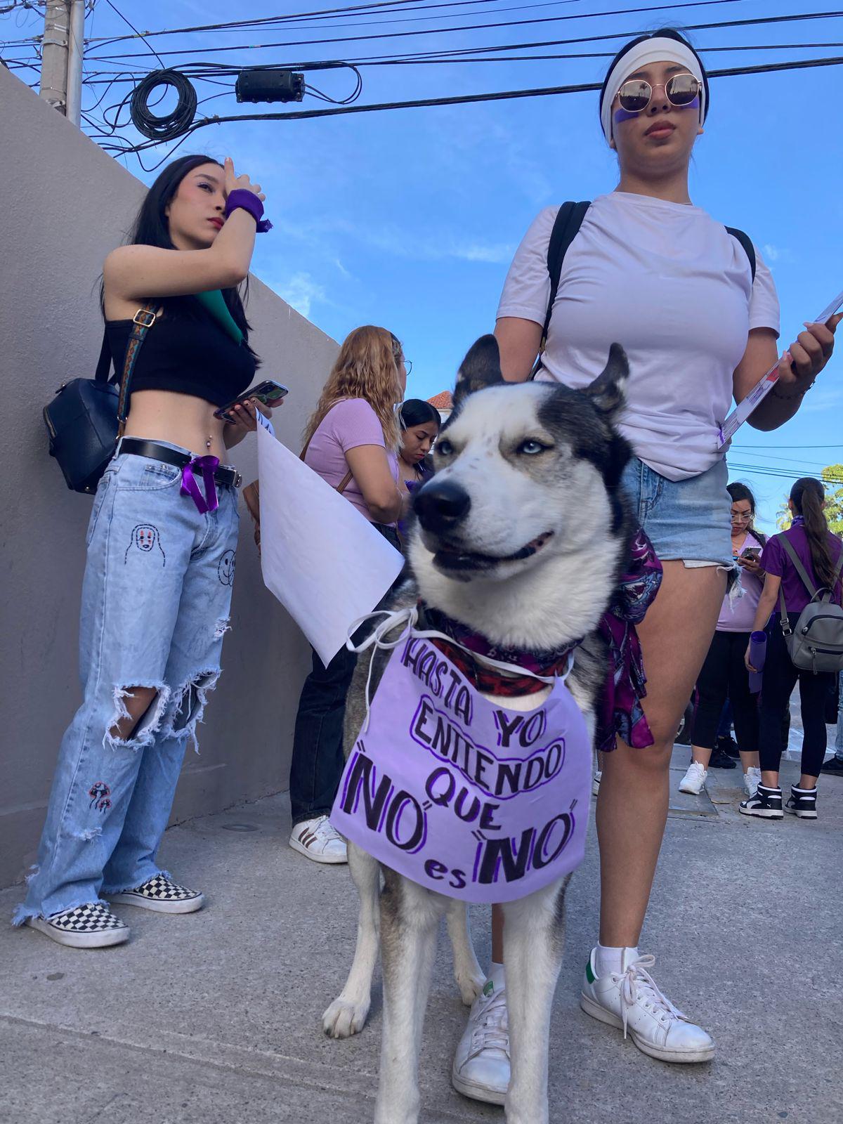 $!‘Mujer escucha, esta es tu lucha’; inicia la Marcha 8M por el malecón de Mazatlán