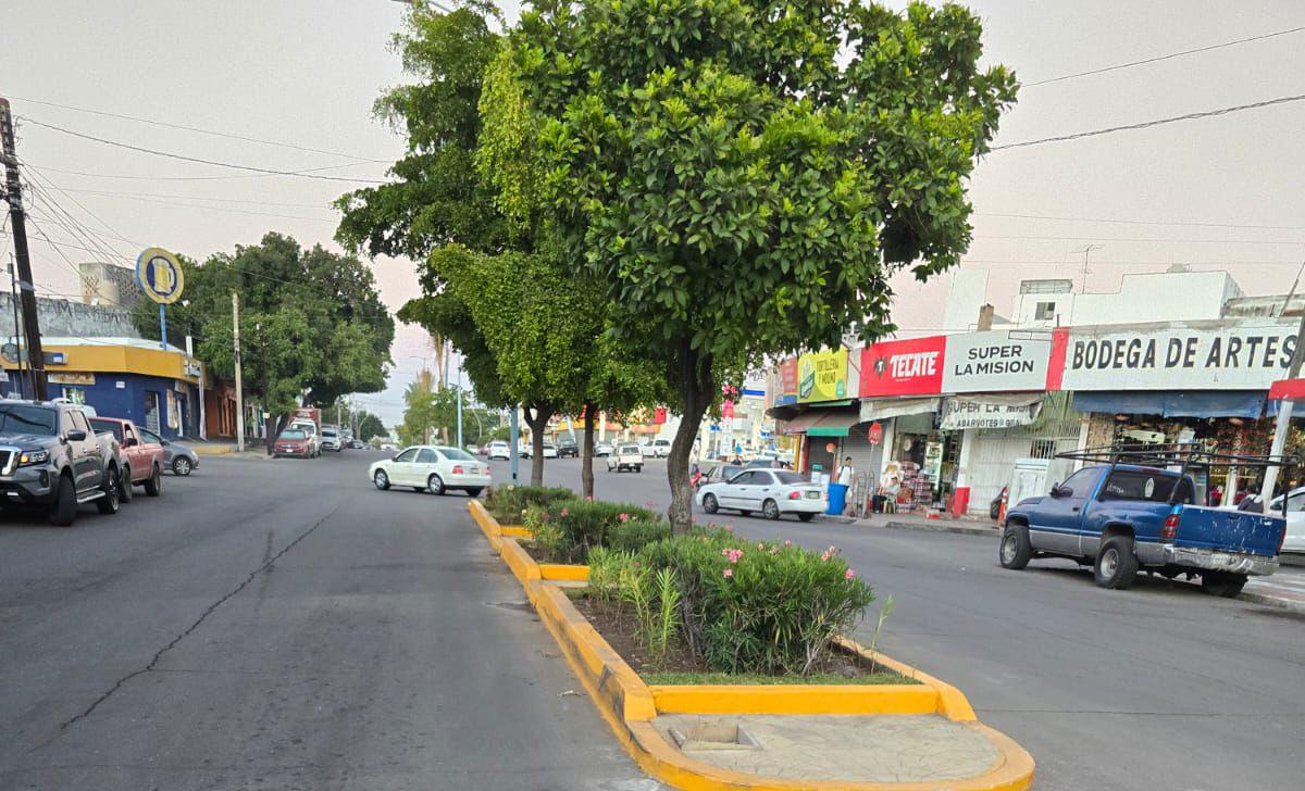 $!Embellecen la Avenida Juan Carrasco en Mazatlán